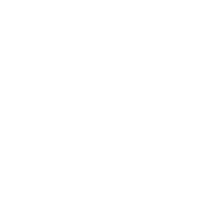 Hawaii Seal